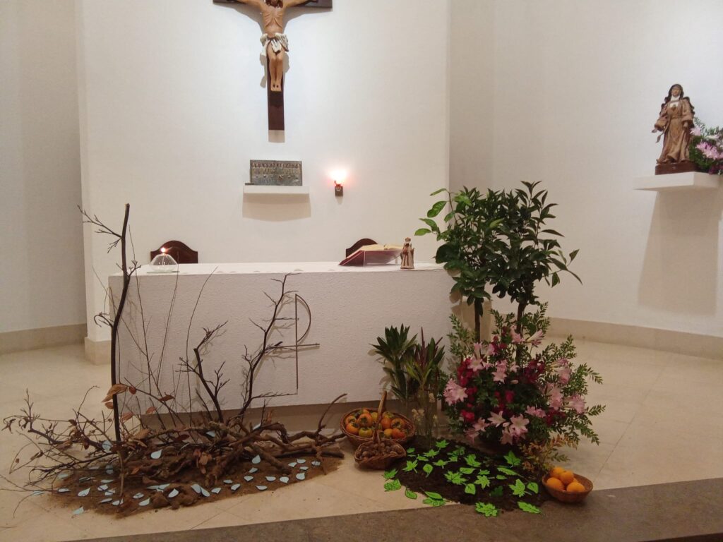 Misa por el cuidado de la Creacion