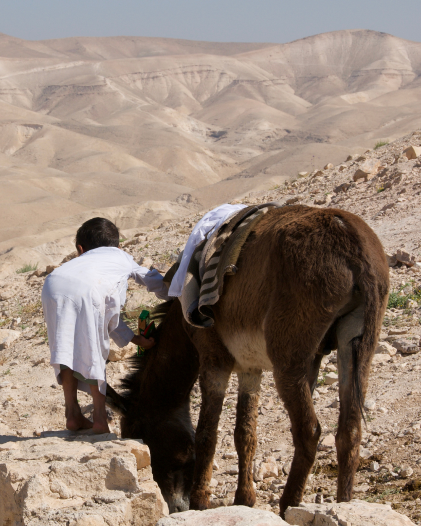 Tierra Santa - en el camino de Jericho