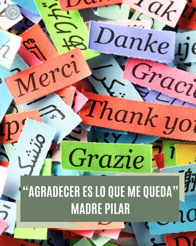 1 de julio de 1916 – ¡Hoy se cumplen 109 años desde que Madre Pilar está junto al Padre!
Alegrémonos por su presencia en Dios
y por su intercesión por cada uno y cada una de nosotros.
“Agradecer es lo que me queda…”
Y yo, ¿por qué puedo dar gracias hoy?
#SomosACI #aci_esclavas #aci_sisters #MadrePilar #ADios #Agradecer