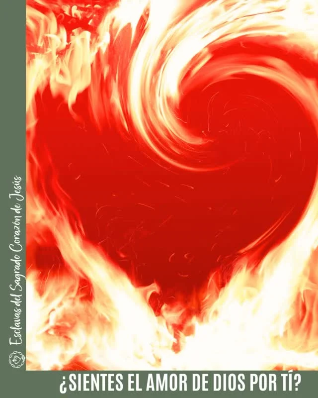 ¡Feliz Fiesta del Sagrado Corazón de Jesús a todos y todas! ❤️🔥
Que aprendamos cada día a ser Su Corazón en la tierra, a estar presentes para quienes nos rodean 🤝 y a amar como Jesús ama 💖.
Música - Cristobal Fones - Canción al corazón de Jesús
#SerSuCorazón #SagradoCorazón #SomosACI #aci_sisters #aci_esclavas